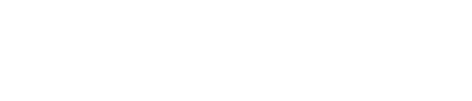 DreamWeek San Antonio logo - reverse