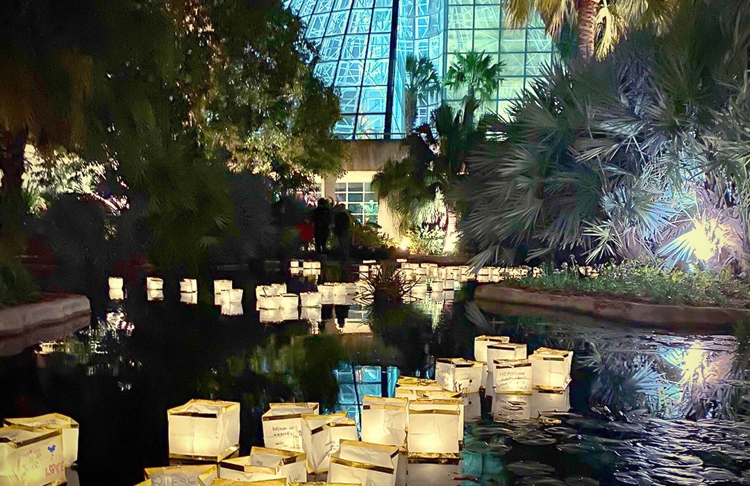 10 Fun Things to Do in San Antonio This Weekend